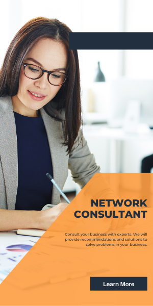 Network Consultant